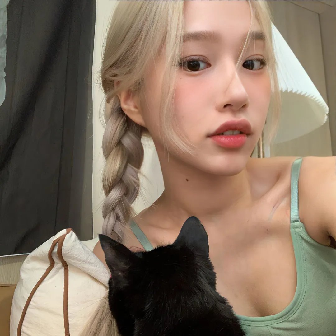 歌舞飞扬